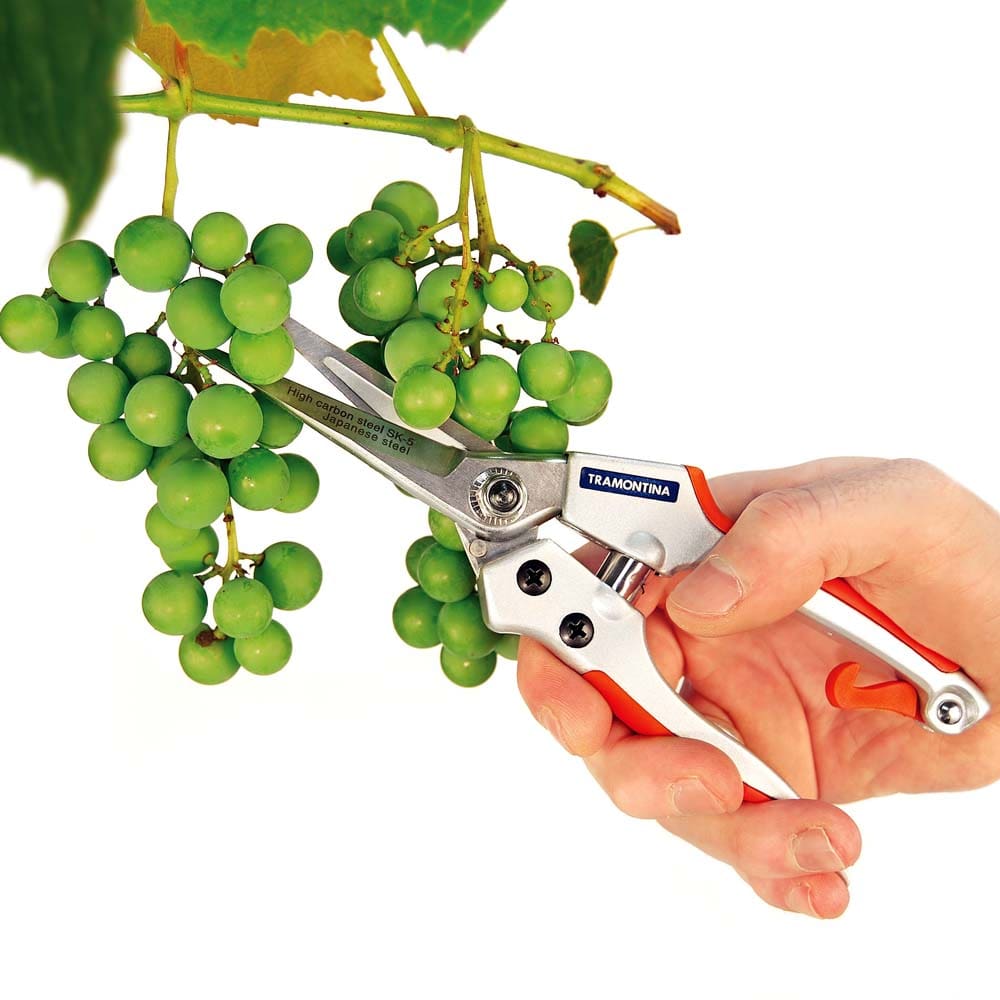 Tesoura de Raleio Tramontina Profissional - Laranja - TESOURA DE RALEIO PROFISSIONAL LJ E PT TRAMONTINA - 1