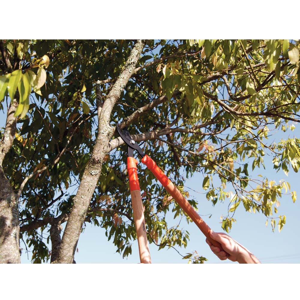 Tesourão de Poda Tramontina 78360505 com Cabo de Madeira - 43cm - TESOURAO DE PODA C CABO 43CM LJ E MADEIRA - 1