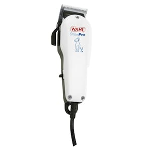 220v