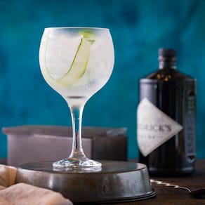 Conjunto de Taças Nadir Gin Tônica 600 ml – 6 Peças