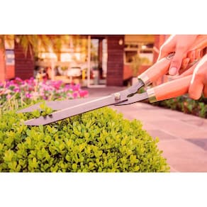 Conjunto Tesoura de Poda e Tesoura para Cerca-Viva Tramontina - 2 Peças - 1