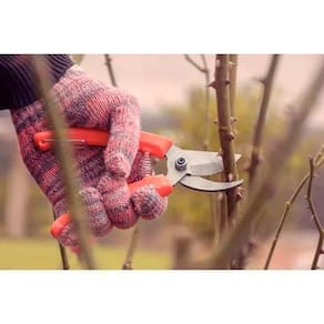 Conjunto Tesoura de Poda e Tesoura para Cerca-Viva Tramontina - 2 Peças - 2