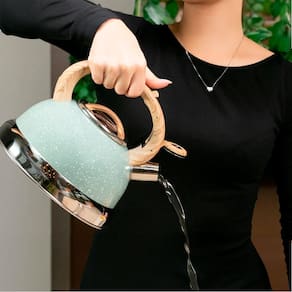 Chaleira Roma Brinox em Aço Inox com Apito Verde - 2,7L - CHALEIRA C/ APITO ROMA VERDE 2,7L BRINOX - 1