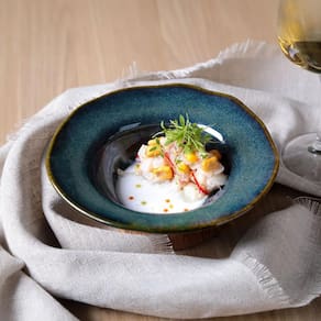 Conjunto de Pratos de Sobremesa Porto Brasil Orgânico Oceano 250ml - 4 Peças - 2