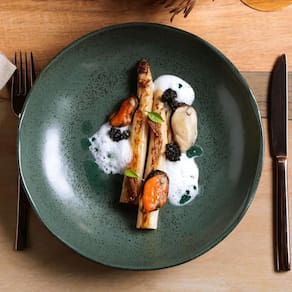 Conjunto de Pratos Fundos Porto Brasil Bio Greenery 1,1 litros - 6 Peças - 1