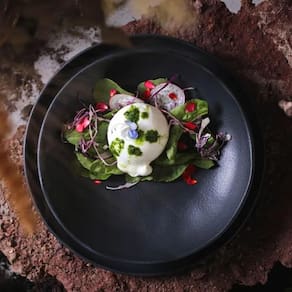 Conjunto de Pratos Fundos Porto Brasil Bio Preto Matte 1,1 litros – 6 Peças - 1