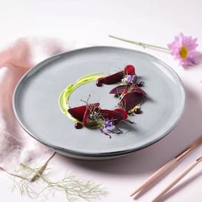 Conjunto de Pratos Rasos Porto Brasil Bio Dust 29cm - 6 Peças - 1