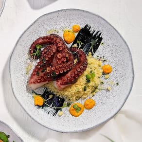 Conjunto de Pratos Rasos Porto Brasil Orgânico Echo 26,5cm - 6 Peças - 1