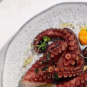 Conjunto de Pratos Rasos Porto Brasil Orgânico Echo 26,5cm - 6 Peças - 2