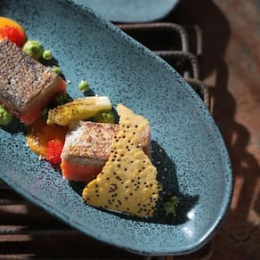 Conjunto de Travessas Ovais Grandes Porto Brasil Orgânico Night Sky 32x16cm - 4 Peças - 2