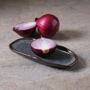 Conjunto de Travessas Ovais Rasas Porto Brasil Orgânico Titanium 16,5x8cm - 4 Peças - 1