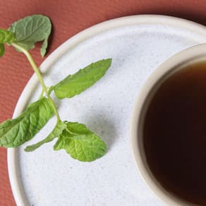 Conjunto de Xícaras de Chá com Pires Porto Brasil Neo Latte 210ml - 6 Peças - 2