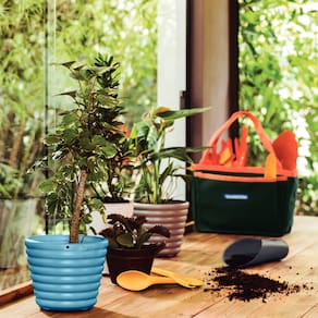 Kit para Jardinagem Tramontina com Bolsa em Lona 13 Peças – Cinza/Laranja