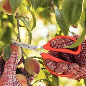 Tesoura para Frutas Tramontina com Lâminas em Aço Inox - 15,3cm - TESOURA P/ FRUTAS TRAMONTINA LAMINAS DE AÇO INOX - 3