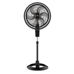 110V