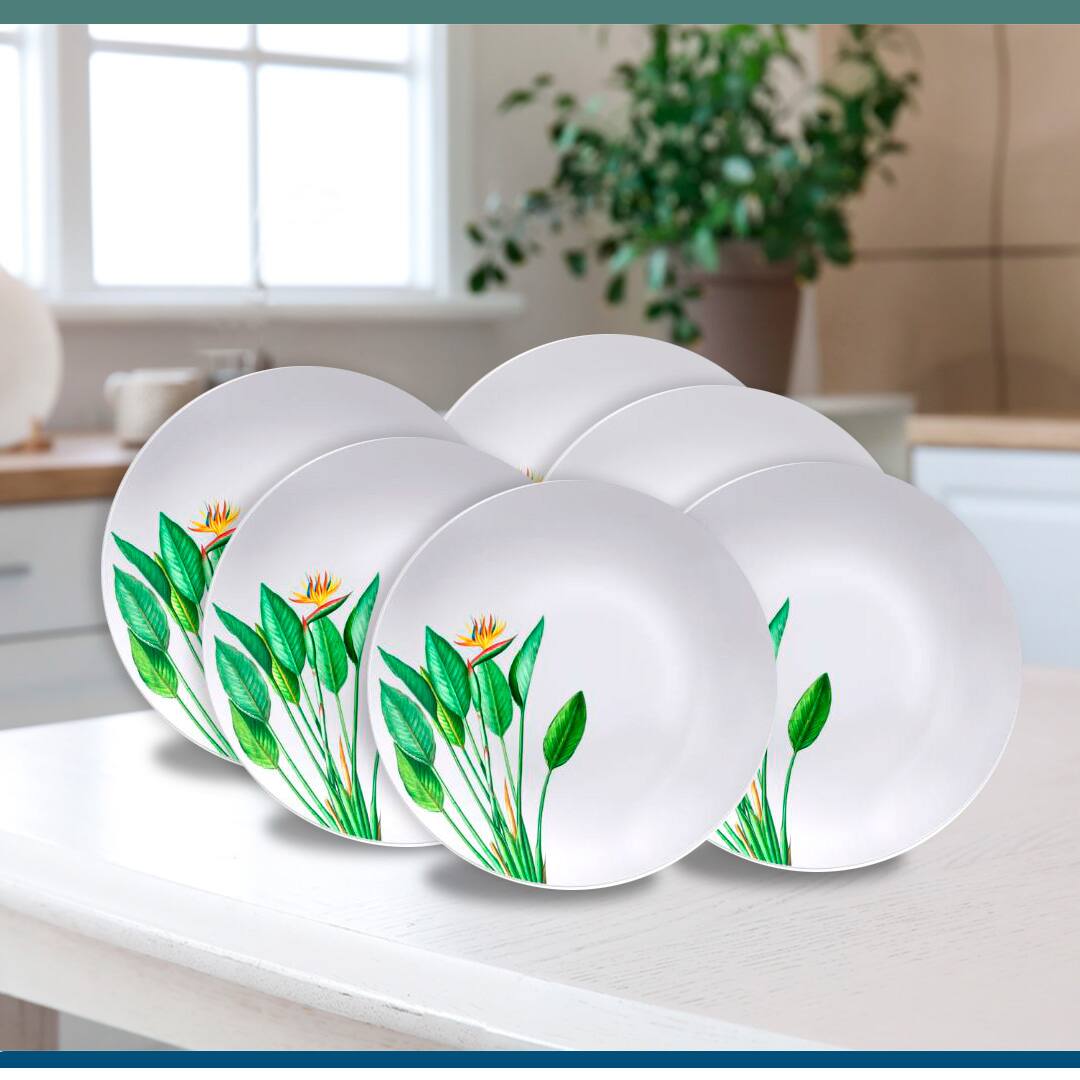Imagem frontal frente Conjunto de Pratos Rasos Tramontina Graziela brancos branco em pé mesa bancada bege branca fundo cozinha janela móveis vaso planta verde