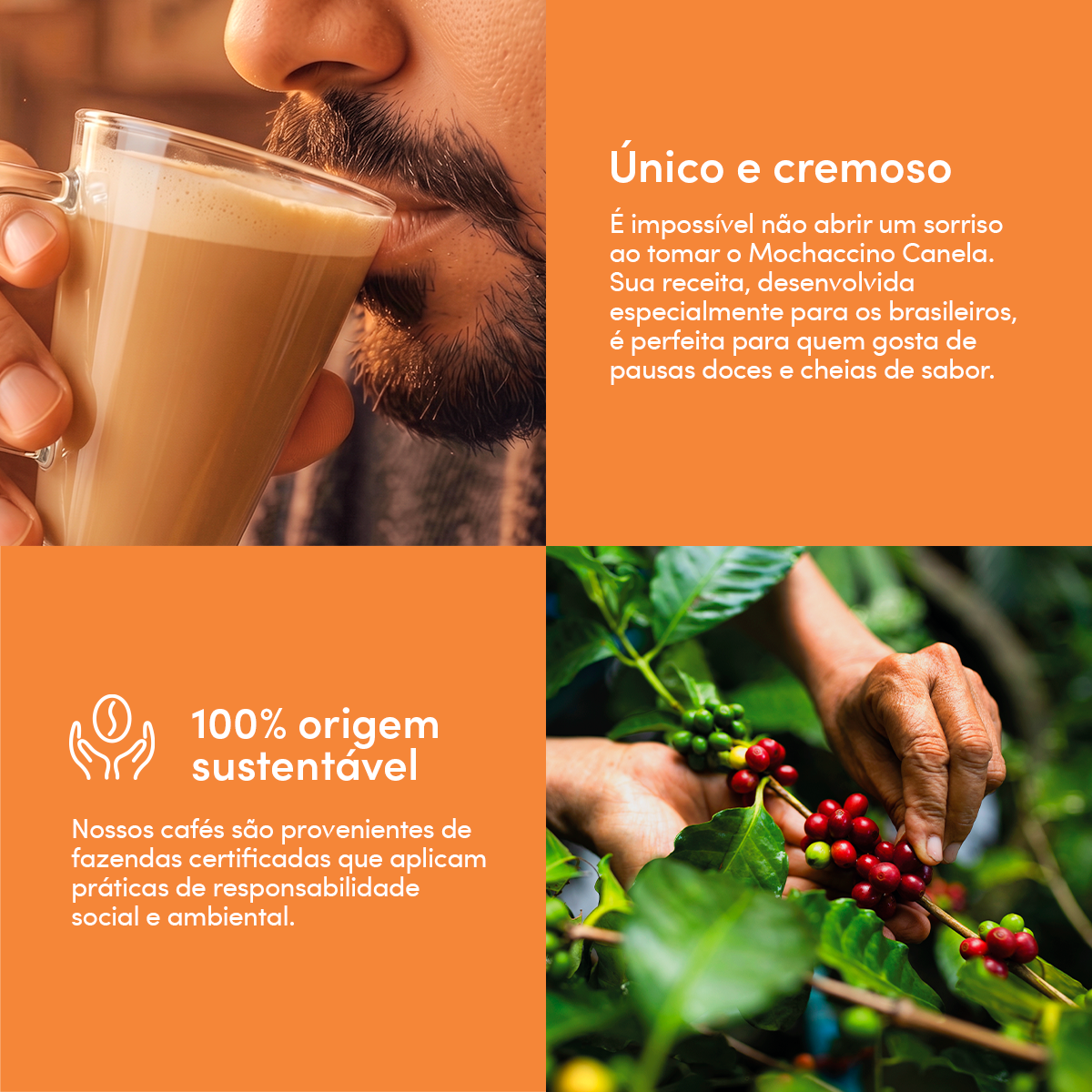 Canela