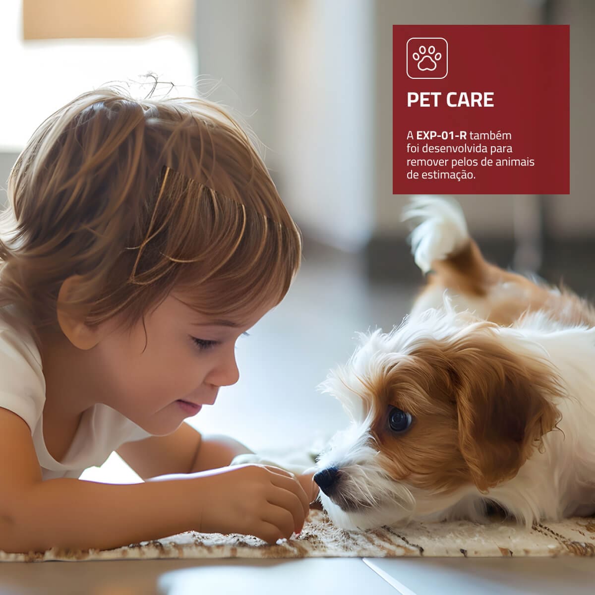 EXTRATORA E HIGIENIZADORA MONDIAL EXP-01-R