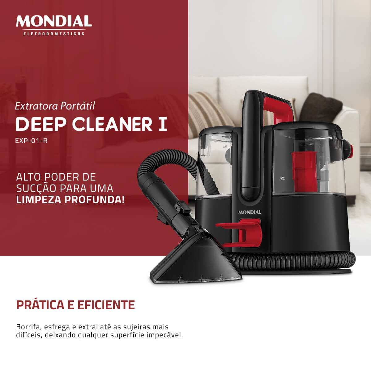 EXTRATORA E HIGIENIZADORA MONDIAL EXP-01-R