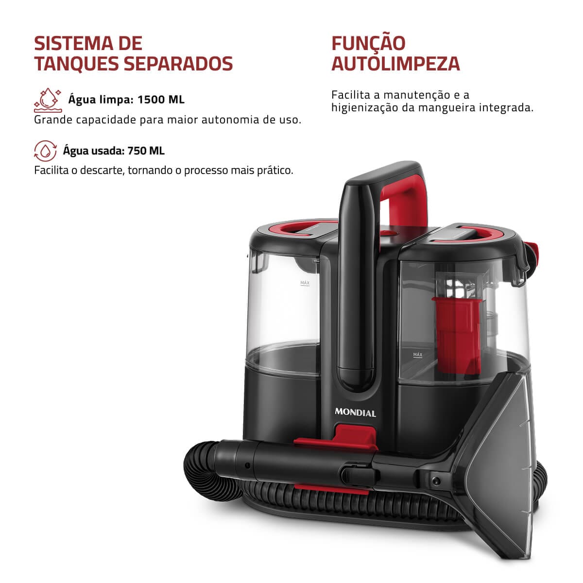 EXTRATORA E HIGIENIZADORA MONDIAL EXP-01-R