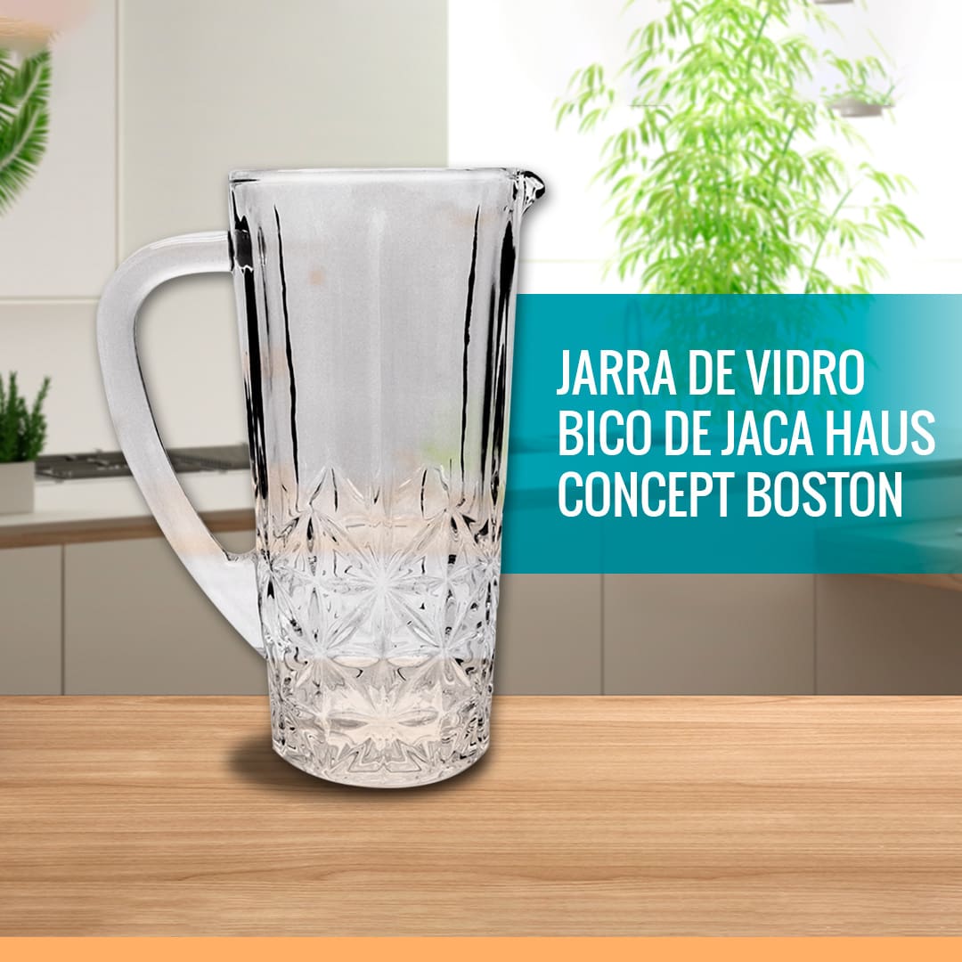 Jarra de Vidro Bico de Jaca Haus Concept Boston