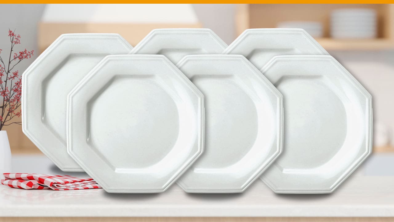 Conjunto com 6 Pratos Rasos em Porcelana Schmidt Prisma