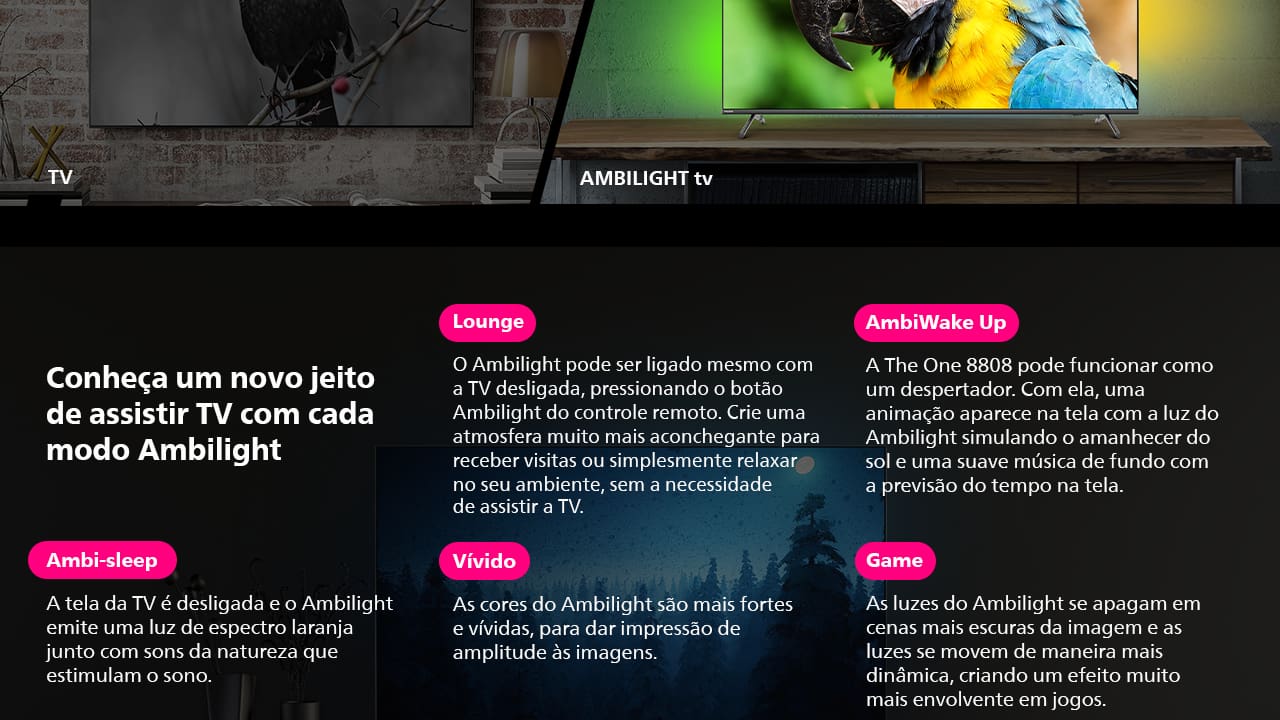 Experiência 4K com Google TV A Smart TV Philips THE ONE 65PUG8808/78 eleva sua experiência de entretenimento com uma tela de 65 polegadas e resolução 4K. Alimentada pelo sistema Google TV, você tem acesso a milhares de aplicativos, filmes e séries. Personalize sua tela inicial para encontrar rapidamente seus conteúdos favoritos e mergulhe no mundo do entretenimento de forma fluida e intuitiva.