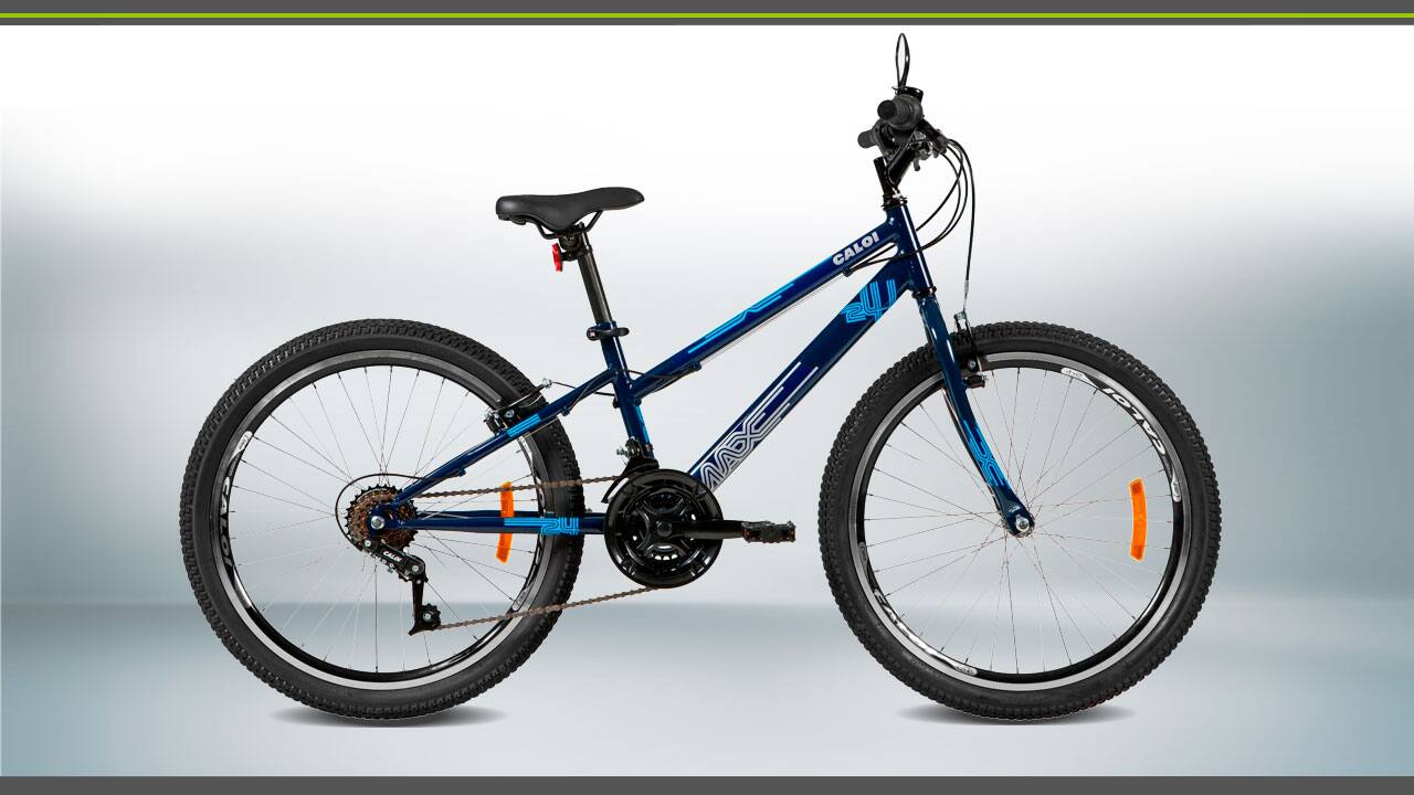 Bicicleta Caloi Max Aro 24 