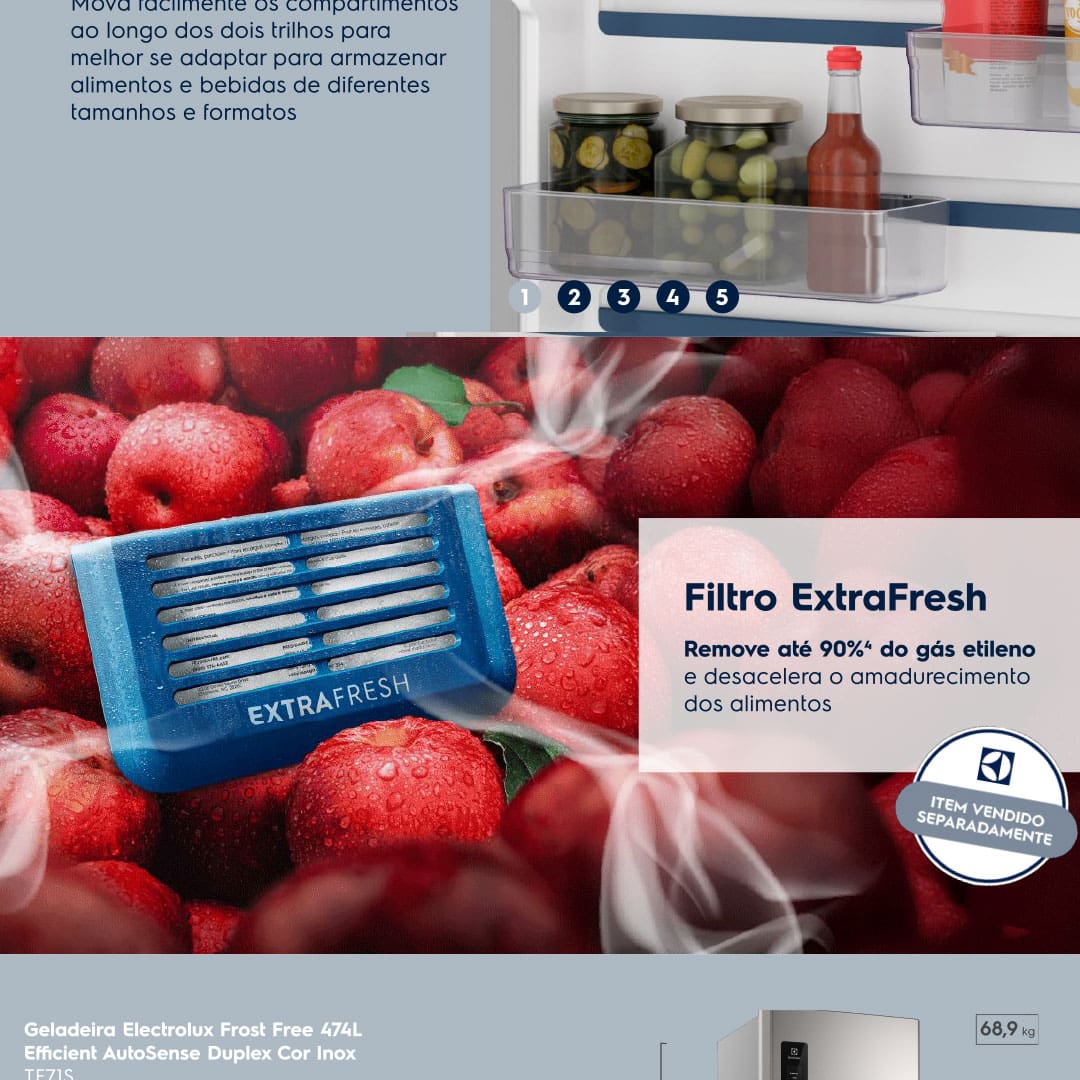 Geladeira Electrolux Frost Free TF71S Duplex
