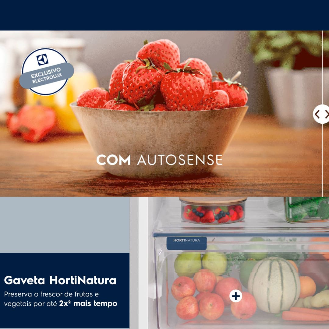 Geladeira Electrolux Frost Free TF71S Duplex