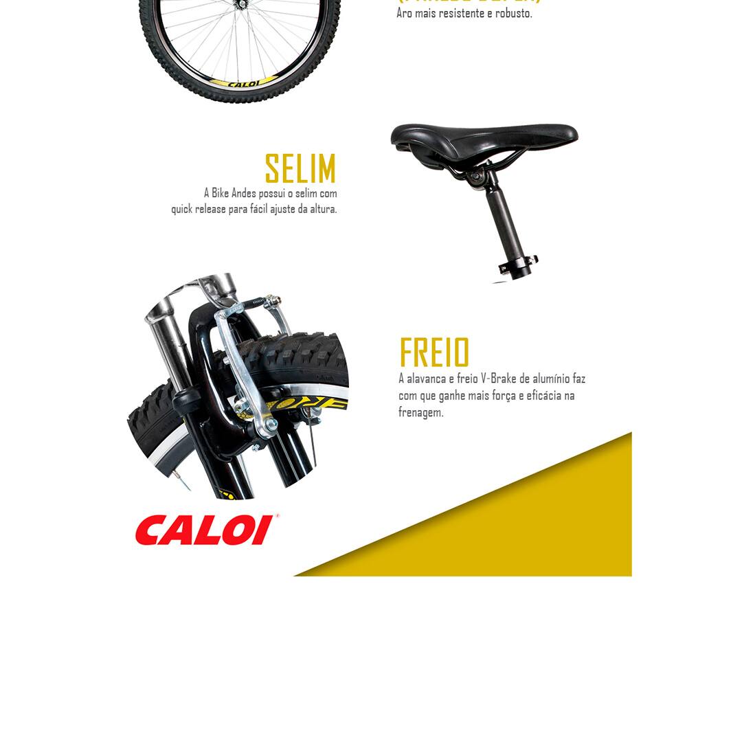 Bicicleta Caloi Andes Aro 26