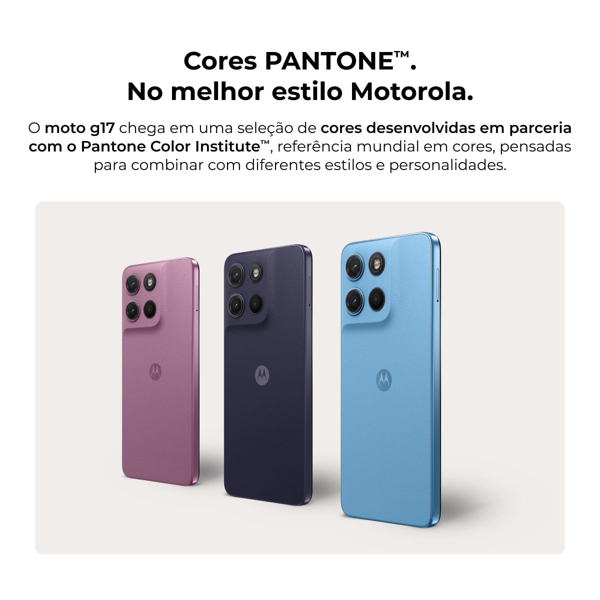 Smartphone Motorola Moto g17 256GB